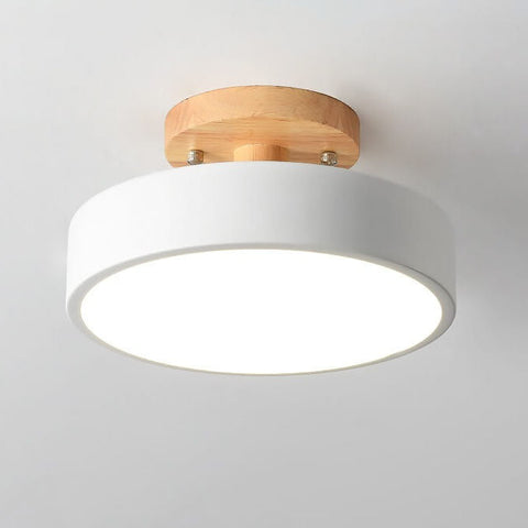 Modern Nordic LED Ceiling Light with Adjustable Color Temperature