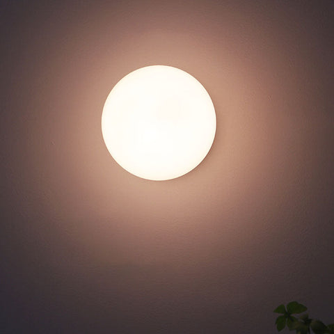 Glass Globe Wall Sconce with Plug-In or Hardwired Setup