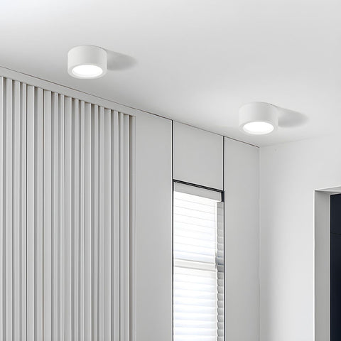 Minimalist Iron LED Ceiling Light for Modern Indoor Lighting