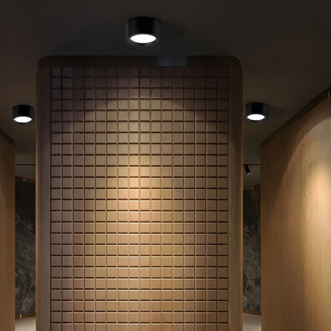 Minimalist Iron LED Ceiling Light for Modern Indoor Lighting