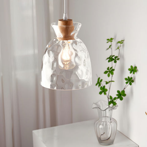 Pendant Light with Clear Glass Shade
