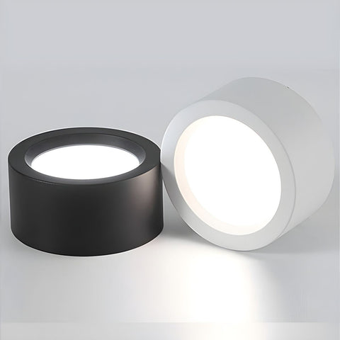 Minimalist Iron LED Ceiling Light for Modern Indoor Lighting