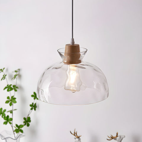 Pendant Light with Clear Glass Shade