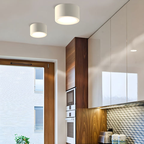 Minimalist Iron LED Ceiling Light for Modern Indoor Lighting