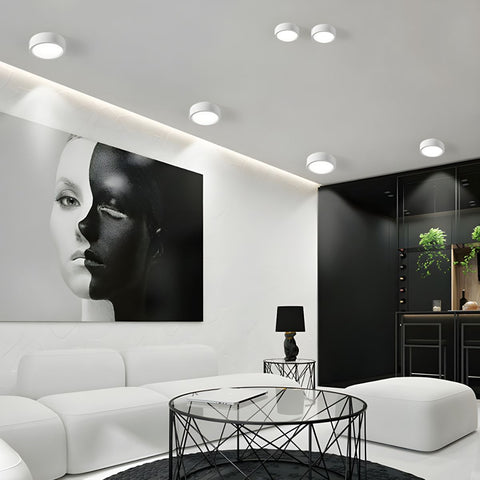 Minimalist Iron LED Ceiling Light for Modern Indoor Lighting