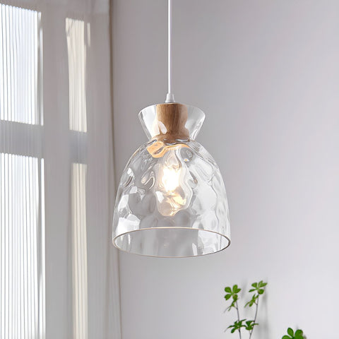 Pendant Light with Clear Glass Shade