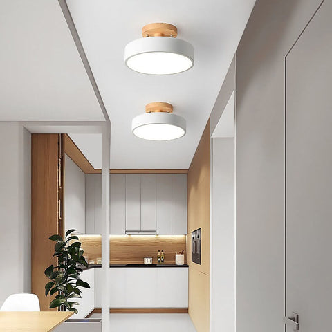 Modern Nordic LED Ceiling Light with Adjustable Color Temperature