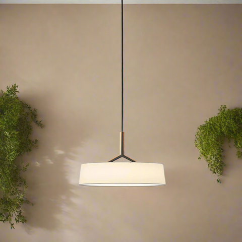 Pendant Light with Minimalist Metal Shade