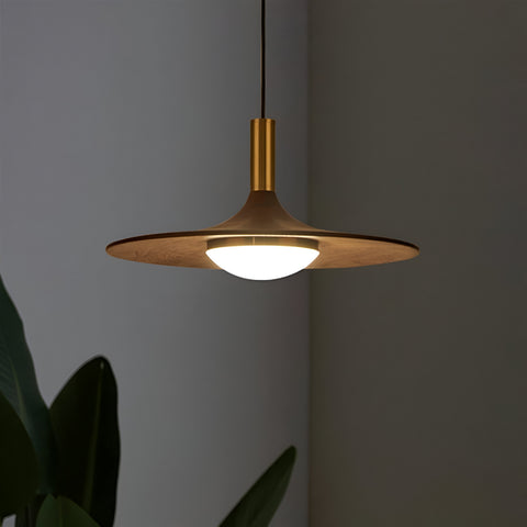 Pendant Light with Walnut-Finish Iron Shade