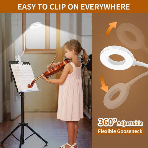 LED Desk Clamp Lamp with Flexible Gooseneck, 3 Color Modes and 10 Brightness Levels