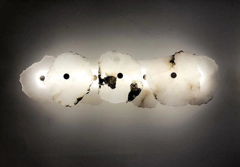 Decorative Organic Shape LED Wall Sconce Lighting