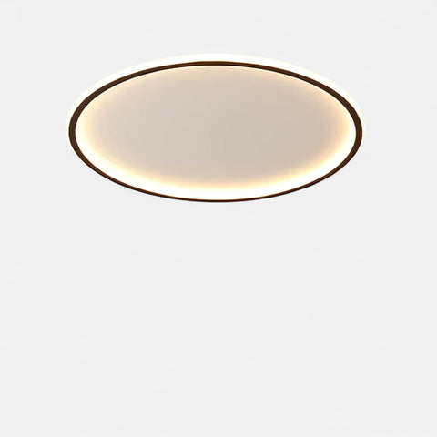Globe LED Ceiling Lamp
