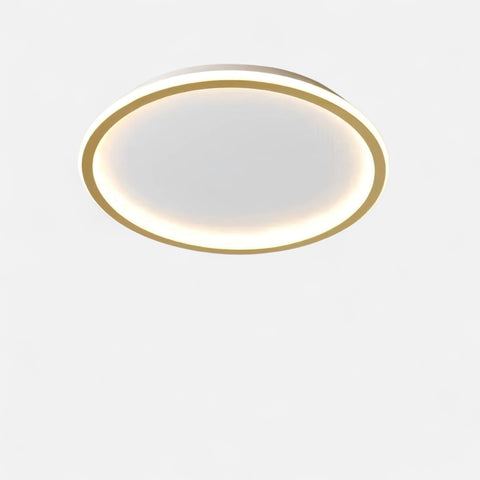 Globe LED Ceiling Lamp