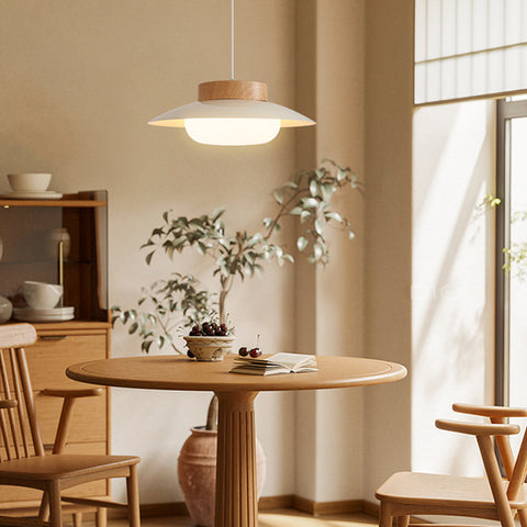 Acrylic Bowl Pendant Light with Integrated LED