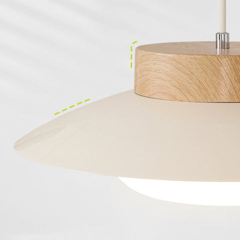 Acrylic Bowl Pendant Light with Integrated LED
