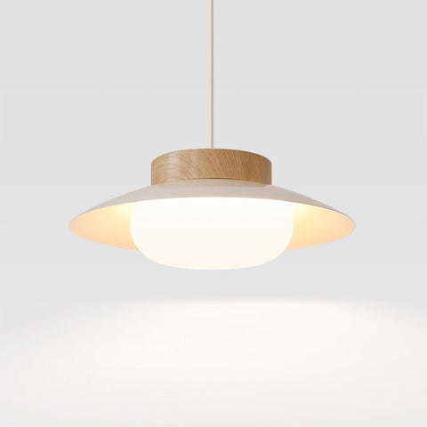 Acrylic Bowl Pendant Light with Integrated LED