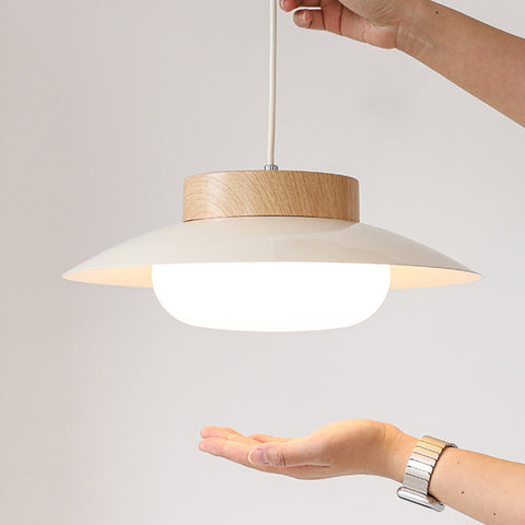 Acrylic Bowl Pendant Light with Integrated LED