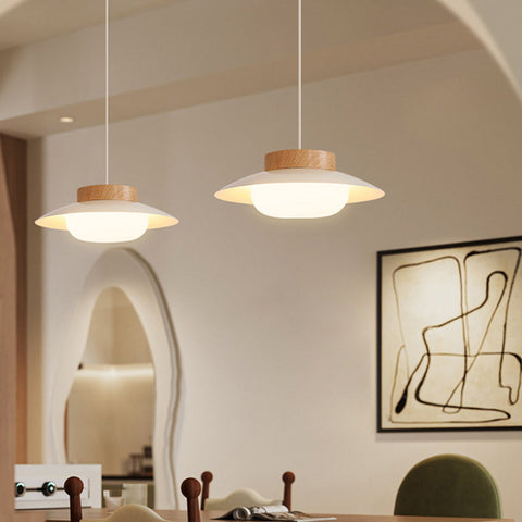 Acrylic Bowl Pendant Light with Integrated LED