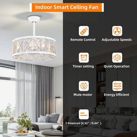 Cage Ceiling Fan with Light and Remote Control