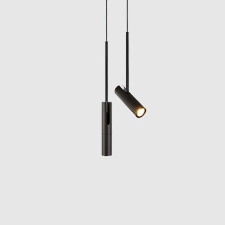 Pendant Light with Adjustable Metal Spotlight