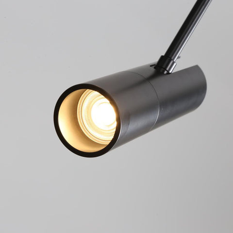 Pendant Light with Adjustable Metal Spotlight