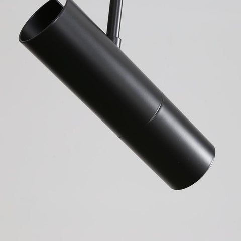 Pendant Light with Adjustable Metal Spotlight