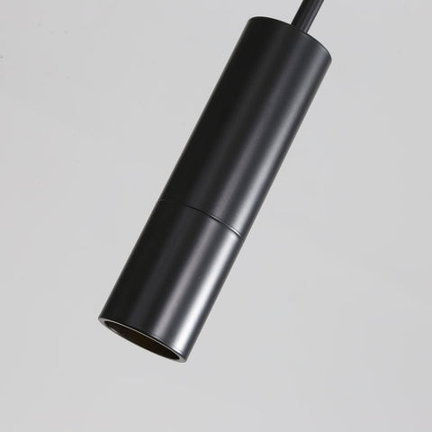 Pendant Light with Adjustable Metal Spotlight