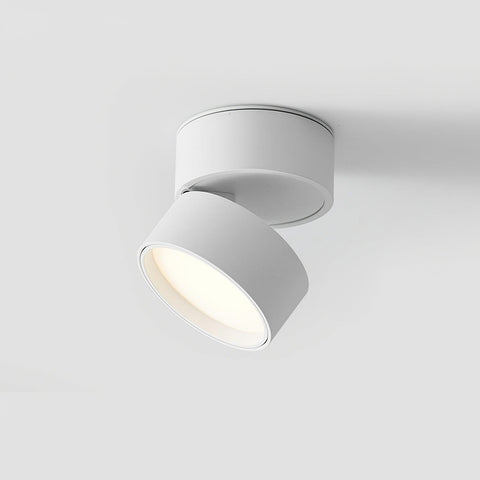 Adjustable Aluminum LED Ceiling Spotlight for Modern Accent Lighting