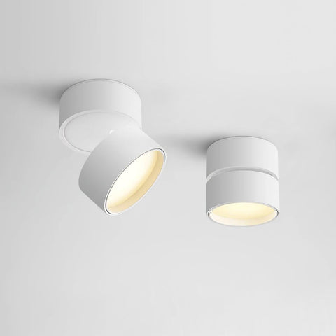 Adjustable Aluminum LED Ceiling Spotlight for Modern Accent Lighting
