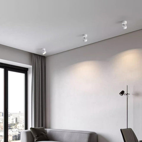 Adjustable Aluminum LED Ceiling Spotlight for Modern Accent Lighting