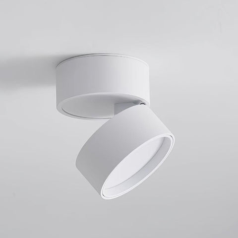 Adjustable Aluminum LED Ceiling Spotlight for Modern Accent Lighting