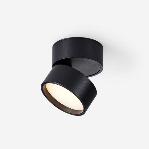 Adjustable Aluminum LED Ceiling Spotlight for Modern Accent Lighting