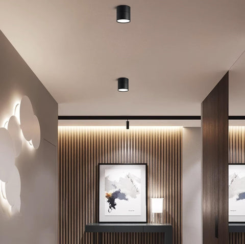 Adjustable Aluminum LED Ceiling Spotlight for Modern Accent Lighting