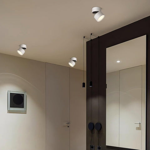 Adjustable Aluminum LED Ceiling Spotlight for Modern Accent Lighting