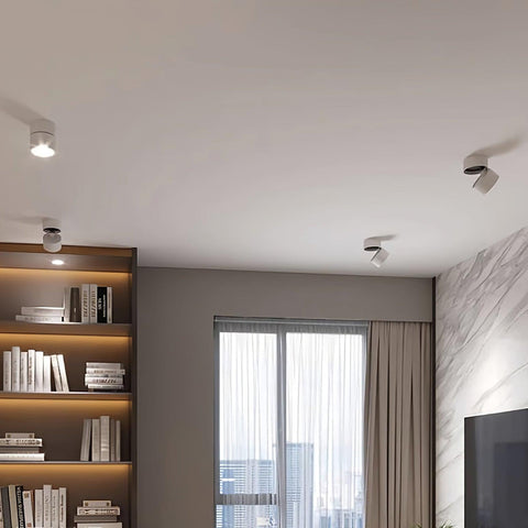Adjustable Aluminum LED Ceiling Spotlight for Modern Accent Lighting