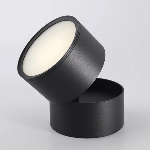 Adjustable Aluminum LED Ceiling Spotlight for Modern Accent Lighting