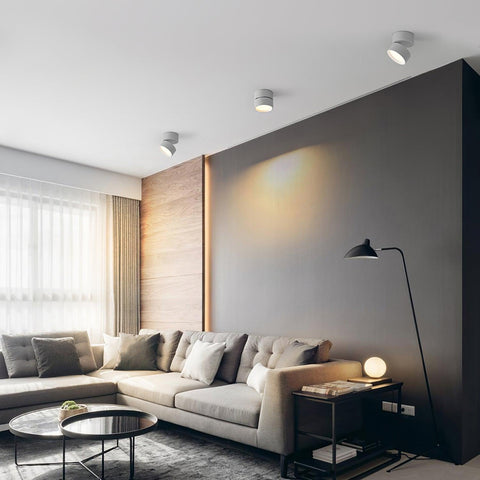 Adjustable Aluminum LED Ceiling Spotlight for Modern Accent Lighting