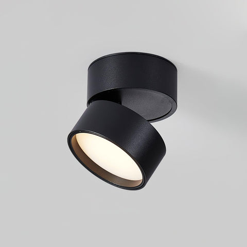 Adjustable Aluminum LED Ceiling Spotlight for Modern Accent Lighting