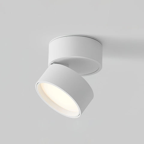 Adjustable Aluminum LED Ceiling Spotlight for Modern Accent Lighting