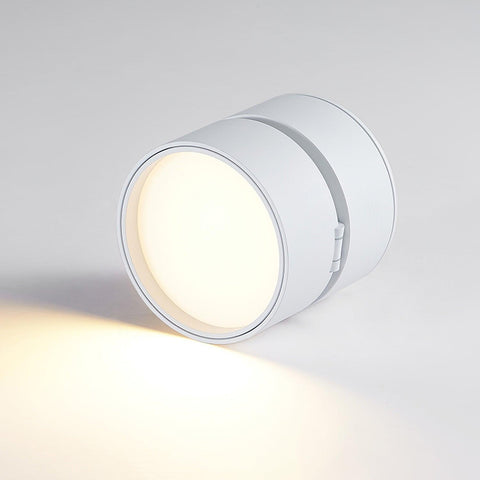 Adjustable Aluminum LED Ceiling Spotlight for Modern Accent Lighting