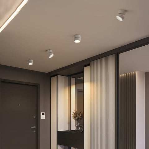 Adjustable Aluminum LED Ceiling Spotlight for Modern Accent Lighting