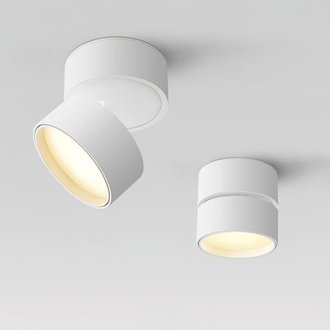 Adjustable Aluminum LED Ceiling Spotlight for Modern Accent Lighting
