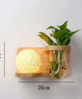 Wood Wall Sconce with Integrated Planter and Globe Light — product view