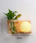 Wood Wall Sconce with Integrated Planter and Globe Light — product view