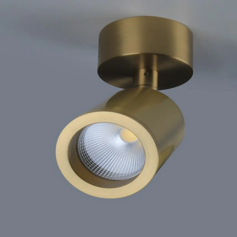 LED Ceiling Spotlight with Adjustable Head and Plated Metal Finish