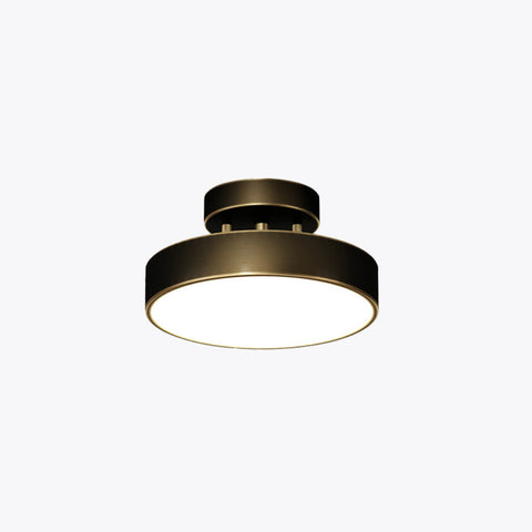 Compact LED Flush Mount Ceiling Light for Home Hallways and Dining Areas