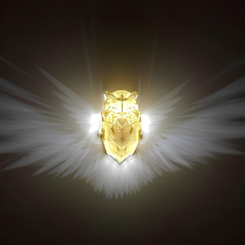 Battery-Powered Wireless Wall Light for Cord-Free Placement