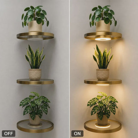 Floating LED Wall Shelf with Rechargeable Battery and Warm Ambient Lighting