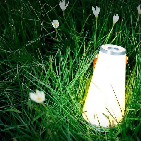 Rechargeable Lantern with Carry Handle and Adjustable Light — product view