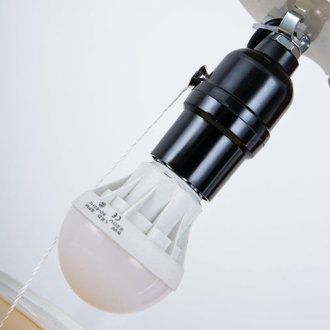 Wall and Ceiling Light with Balloon Shade and Pull Cord Detail
